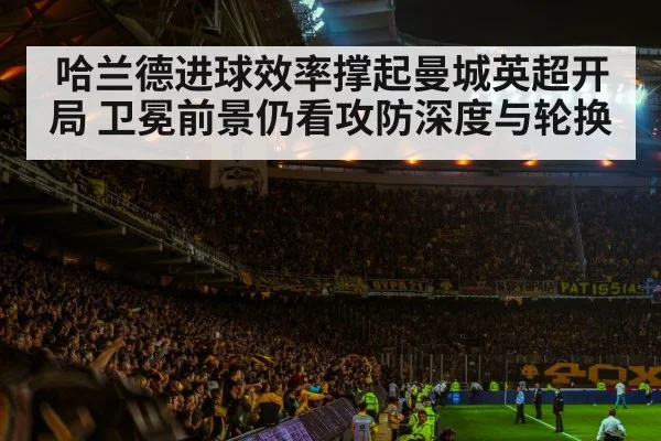 football stadium night crowd